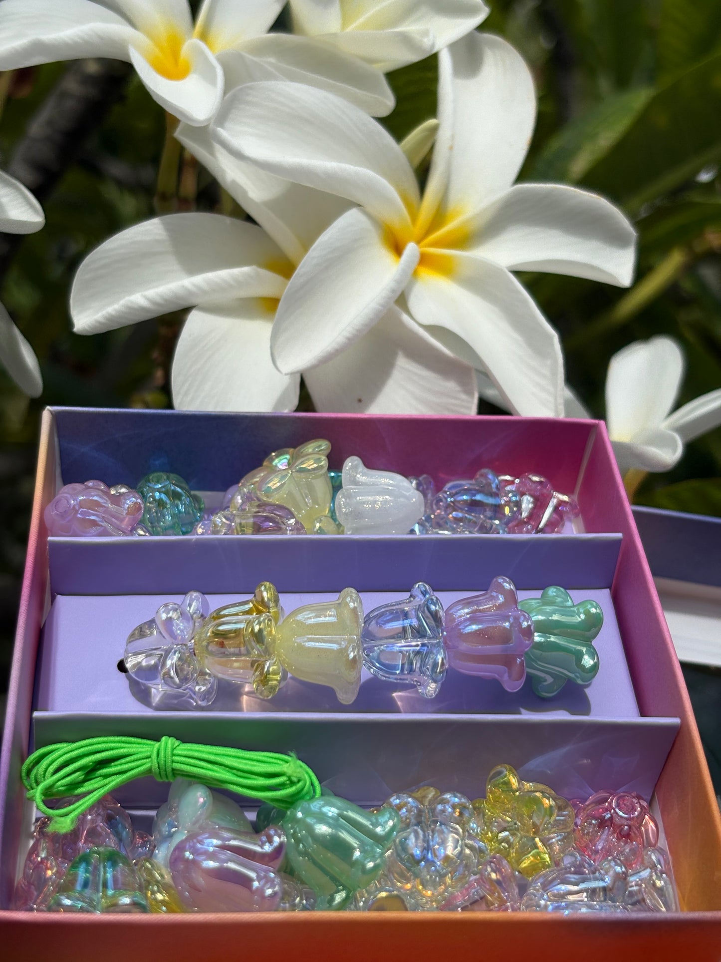 Crown Flower lei Kits