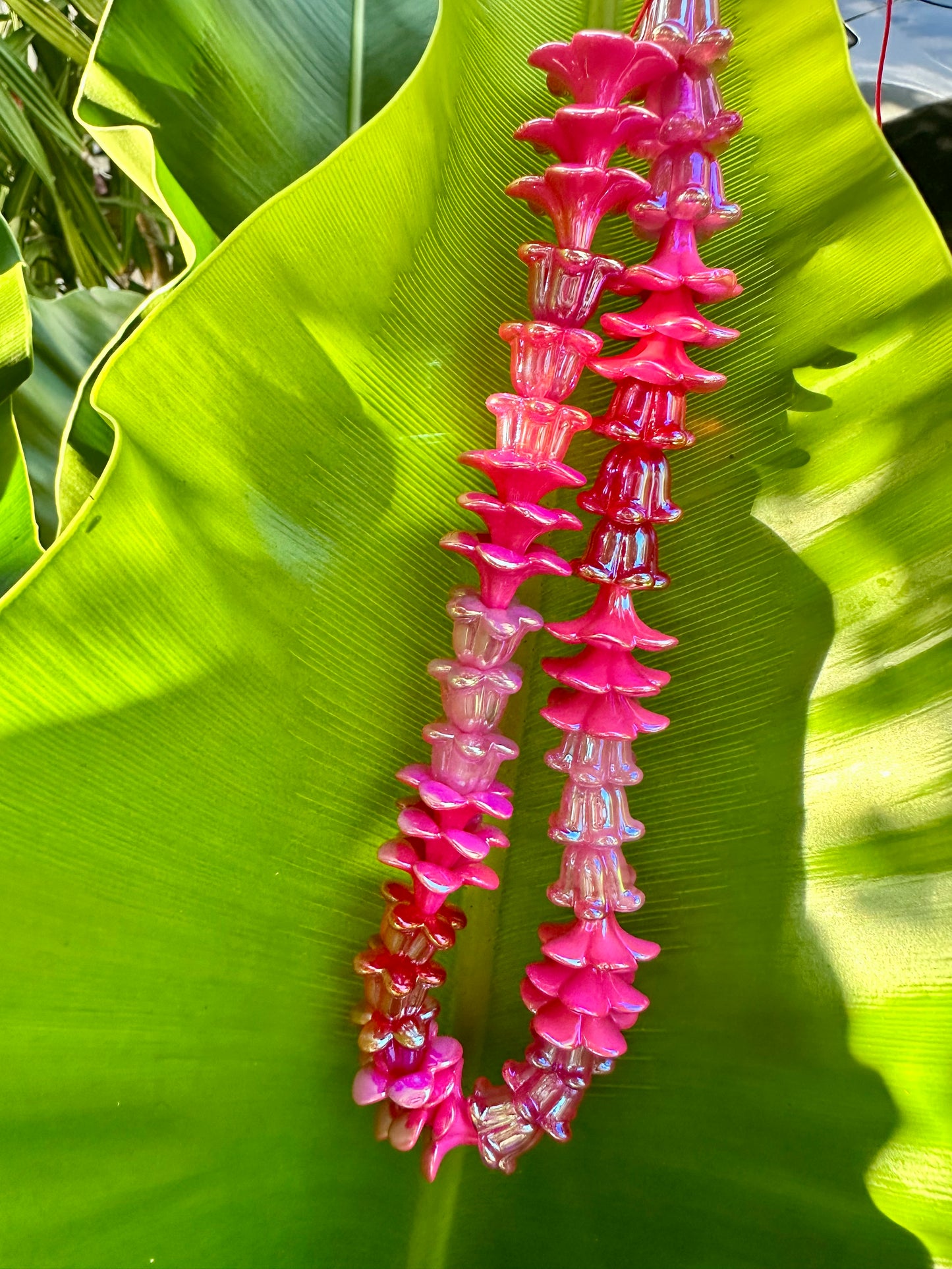 El kit original Lei™ - Edición navideña