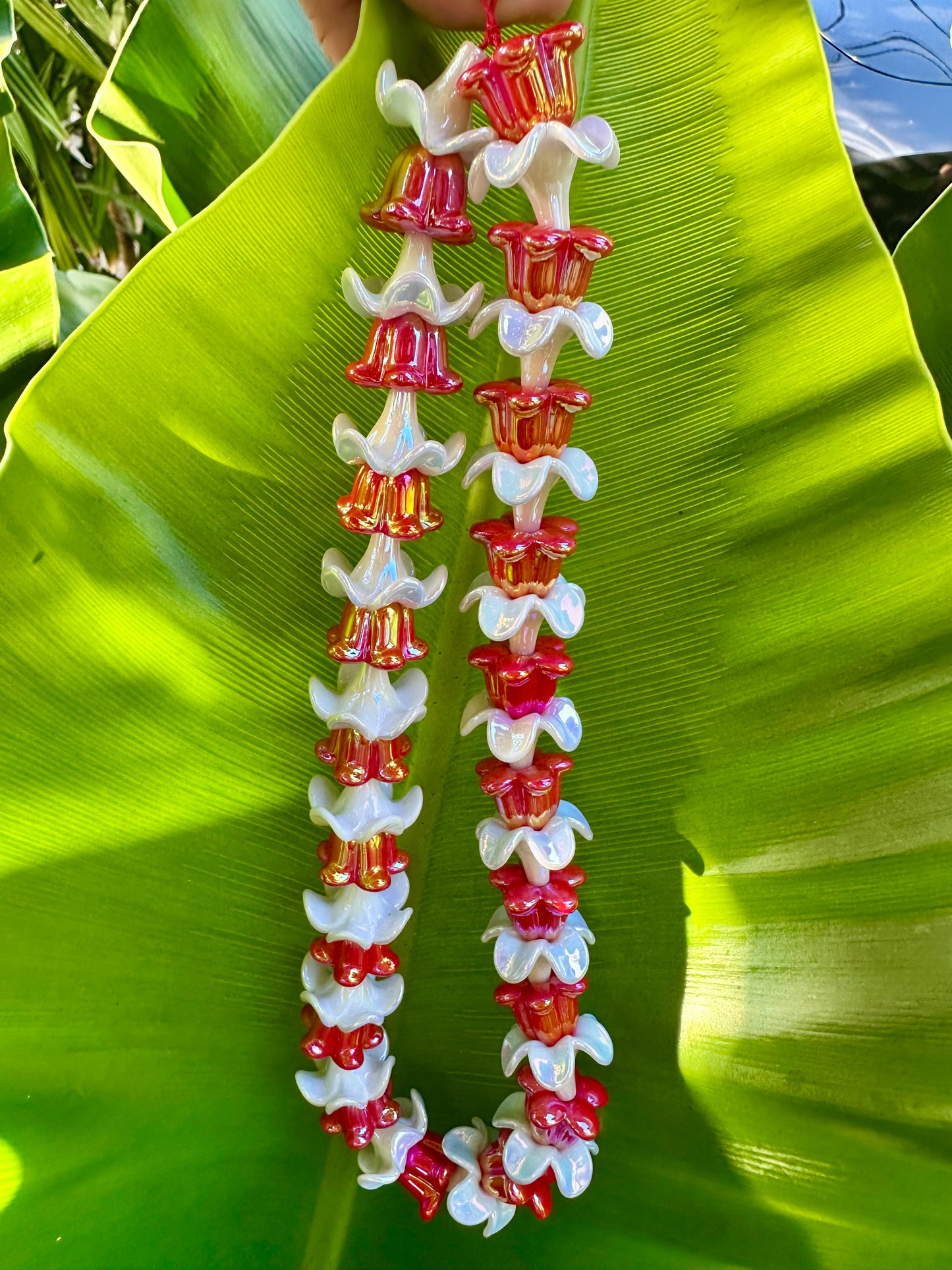 El kit original Lei™ - Edición navideña